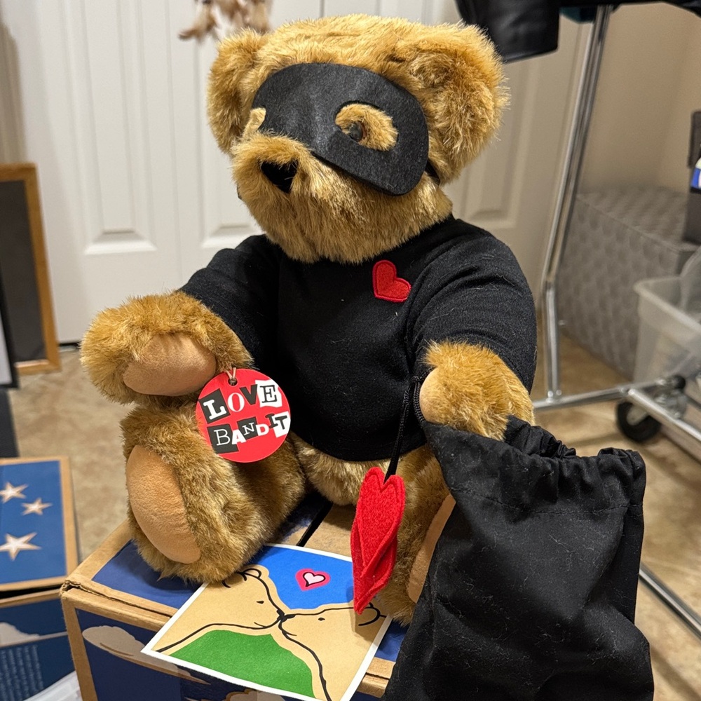 Charming Teddy Bear with Black Mask and Red Accents. On the original box
